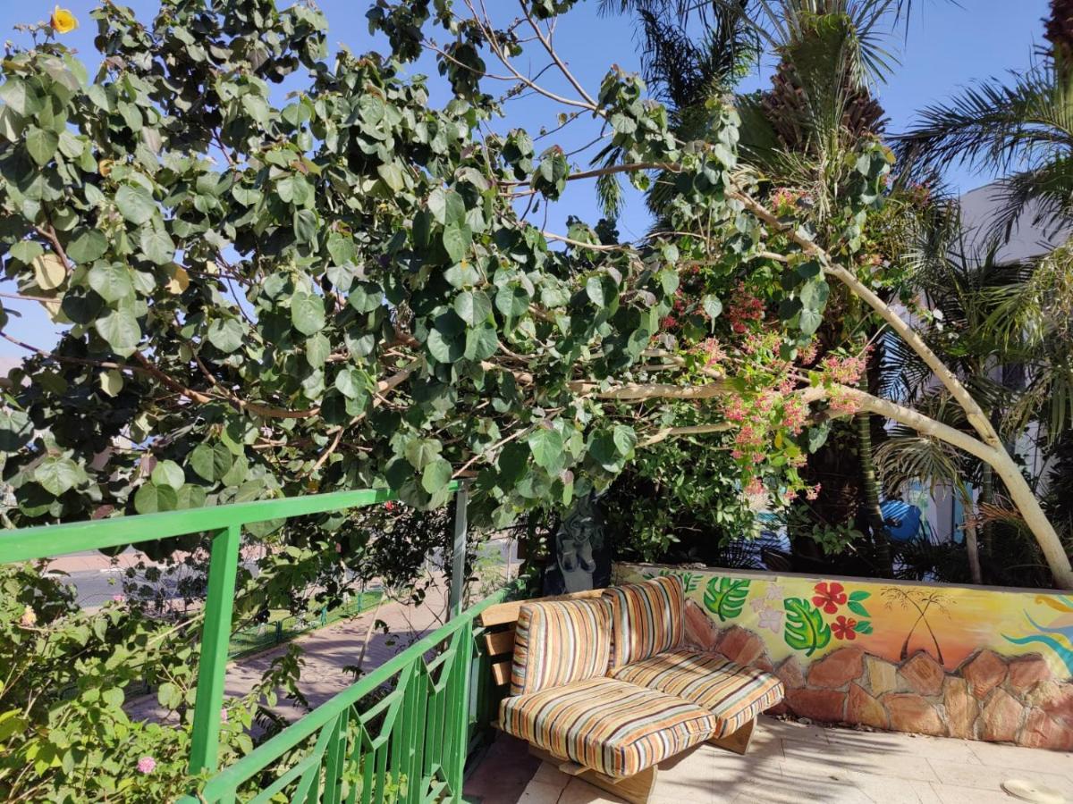 Bed and Breakfast AHLA Dive Time Eilat Exterior foto